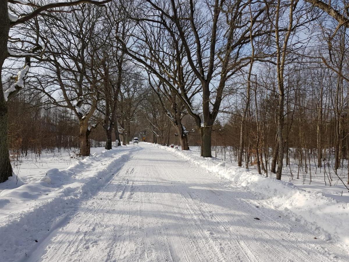 In Nature Białowieża 外观 照片