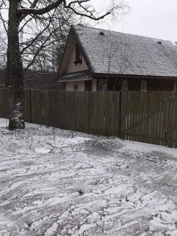 In Nature Białowieża 外观 照片