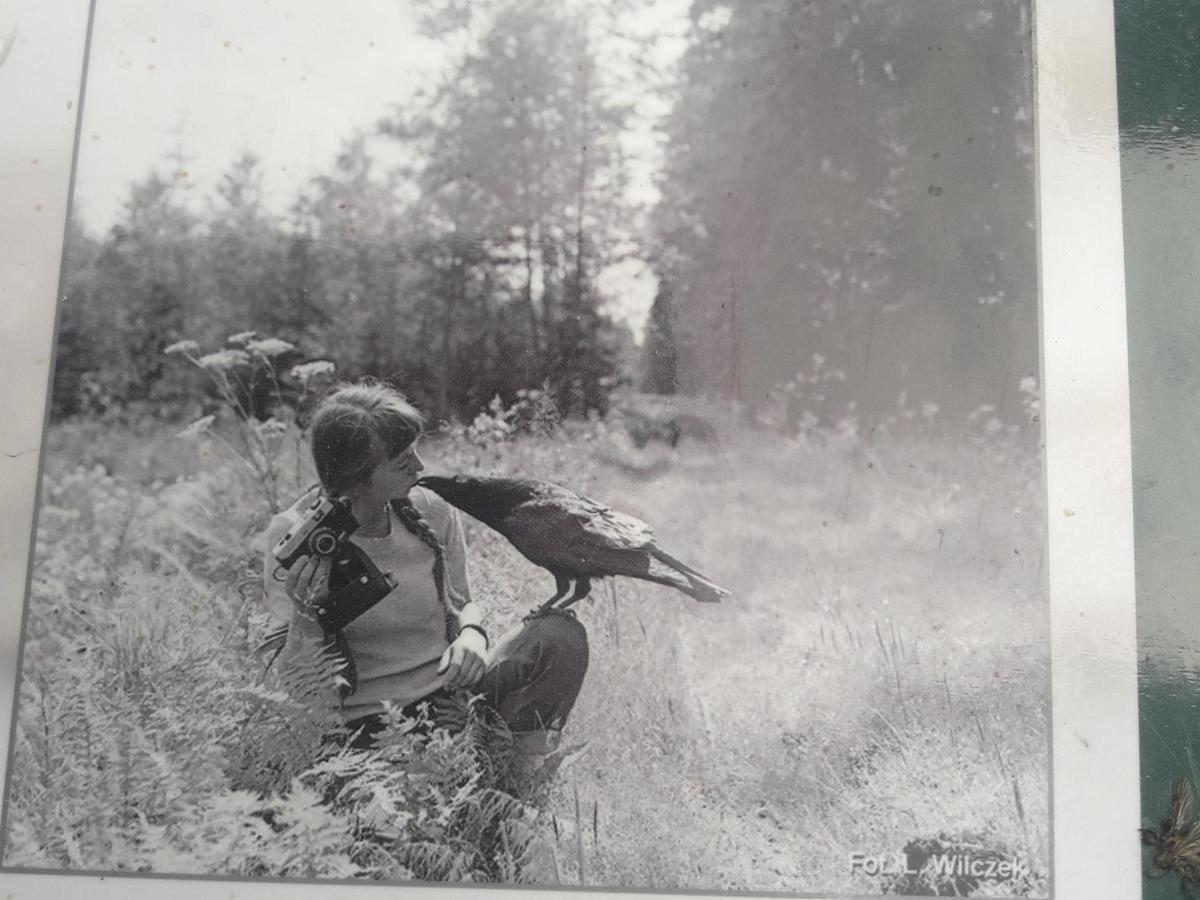 In Nature Białowieża 外观 照片