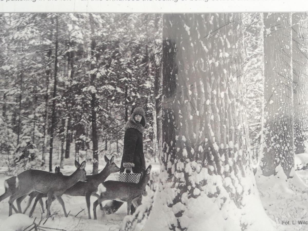 In Nature Białowieża 外观 照片