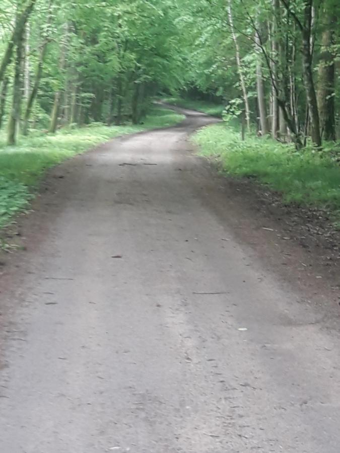 In Nature Białowieża 外观 照片