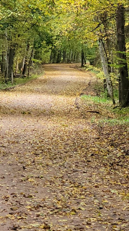 In Nature Białowieża 外观 照片
