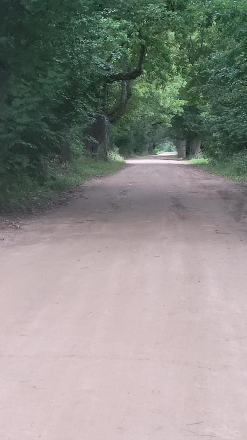 In Nature Białowieża 外观 照片